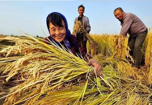 重磅！繼包產(chǎn)到戶之后，我國農(nóng)村又一次迎來重大改革