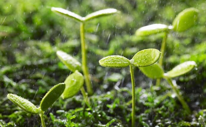 動態(tài) | 生物刺激劑多重效果大揭秘，可減少百萬噸氮肥的投入！